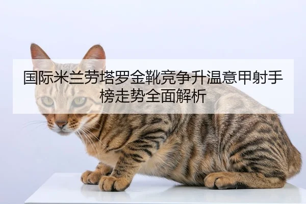 国际米兰劳塔罗金靴竞争升温意甲射手榜走势全面解析