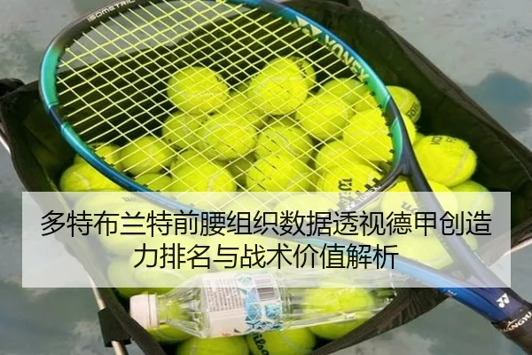 多特布兰特前腰组织数据透视德甲创造力排名与战术价值解析